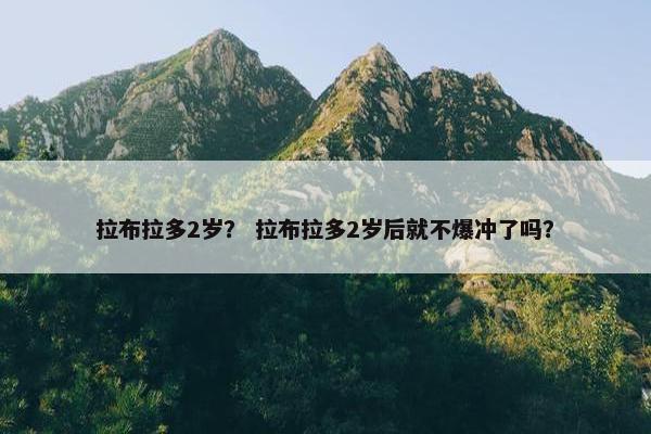 拉布拉多2岁？ 拉布拉多2岁后就不爆冲了吗？