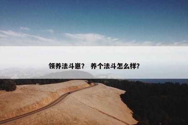 领养法斗崽？ 养个法斗怎么样？
