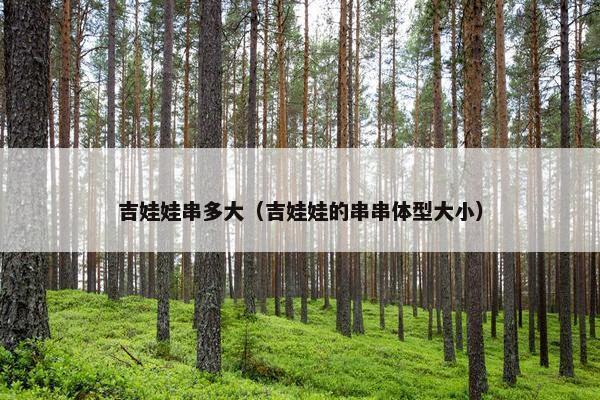 吉娃娃串多大（吉娃娃的串串体型大小）
