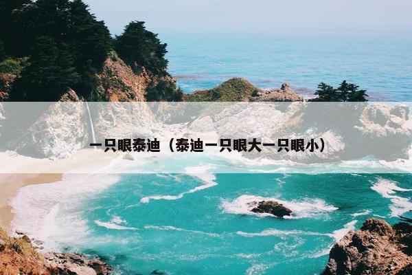 一只眼泰迪（泰迪一只眼大一只眼小）