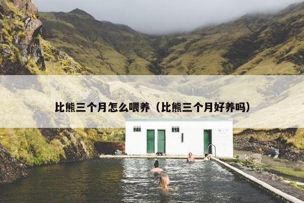 比熊三个月怎么喂养（比熊三个月好养吗）