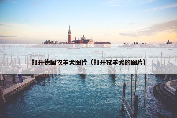 打开德国牧羊犬图片（打开牧羊犬的图片）