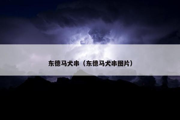 东德马犬串（东德马犬串图片）
