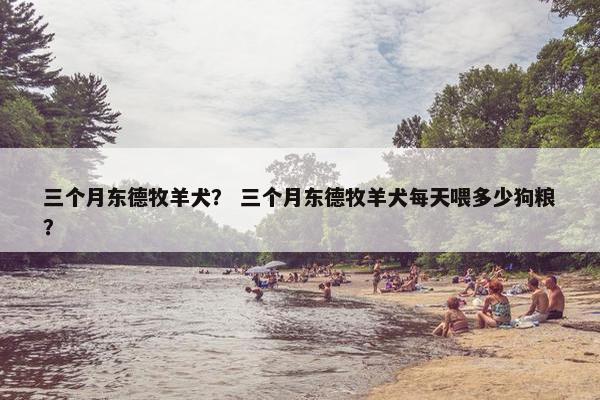 三个月东德牧羊犬？ 三个月东德牧羊犬每天喂多少狗粮？