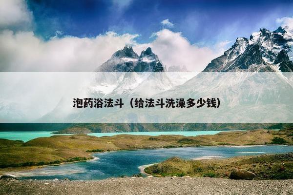 泡药浴法斗（给法斗洗澡多少钱）