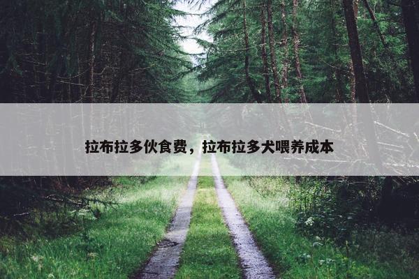 拉布拉多伙食费，拉布拉多犬喂养成本