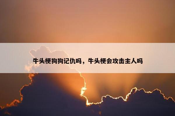 牛头梗狗狗记仇吗，牛头梗会攻击主人吗