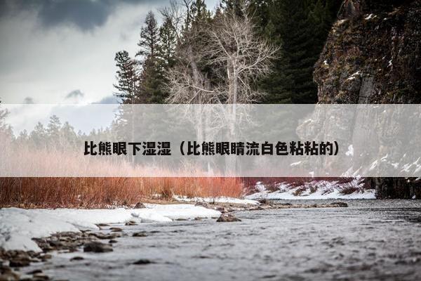 比熊眼下湿湿（比熊眼睛流白色粘粘的）