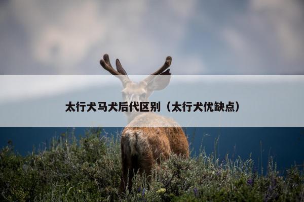 太行犬马犬后代区别（太行犬优缺点）