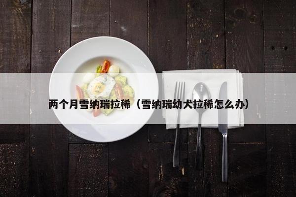 两个月雪纳瑞拉稀（雪纳瑞幼犬拉稀怎么办）