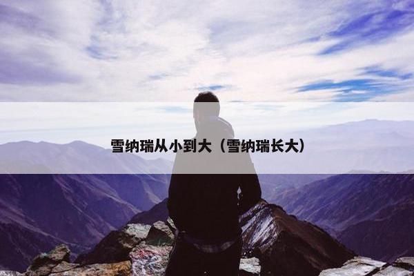 雪纳瑞从小到大（雪纳瑞长大）