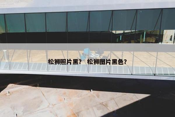 松狮照片黑？ 松狮图片黑色？