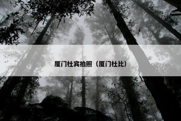 厦门杜宾拍照（厦门杜比）