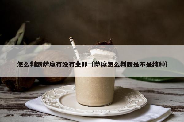 怎么判断萨摩有没有虫卵（萨摩怎么判断是不是纯种）