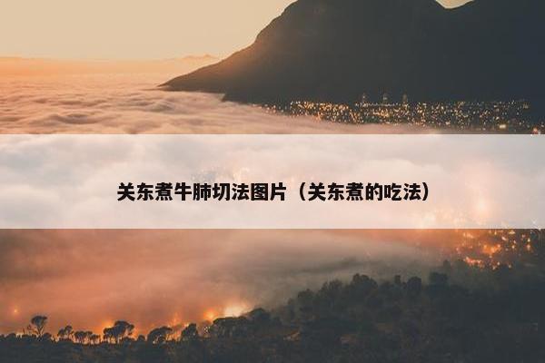 关东煮牛肺切法图片（关东煮的吃法）