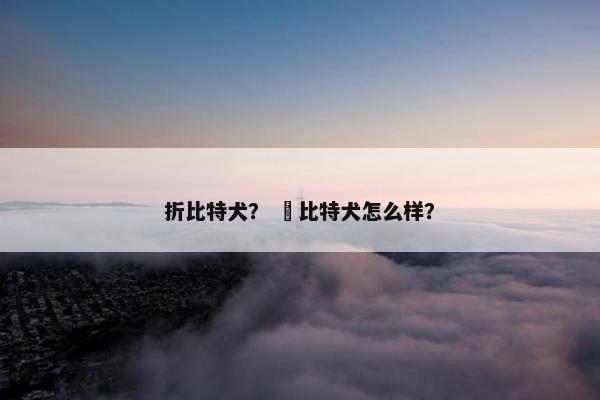 折比特犬？ 恵比特犬怎么样？