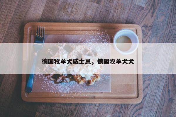 德国牧羊犬威士忌，德国牧羊犬犬