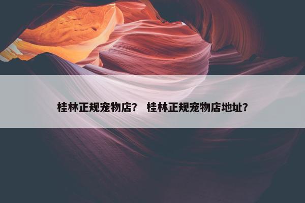 桂林正规宠物店？ 桂林正规宠物店地址？