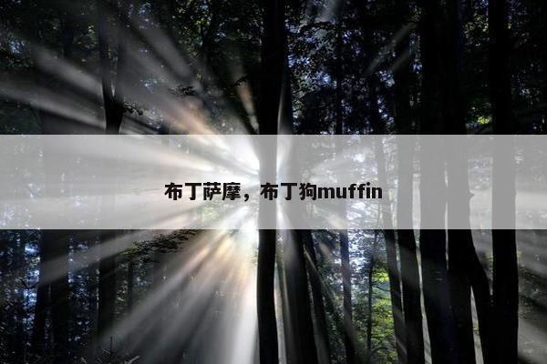 布丁萨摩，布丁狗muffin