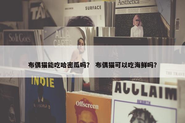 布偶猫能吃哈密瓜吗？ 布偶猫可以吃海鲜吗？