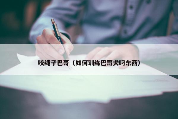 咬绳子巴哥（如何训练巴哥犬叼东西）