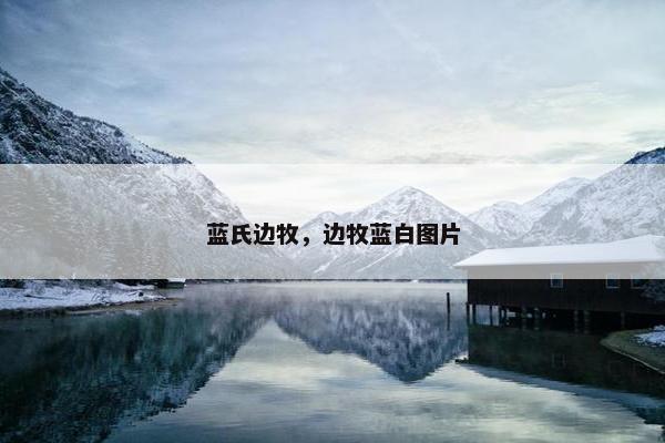 蓝氏边牧，边牧蓝白图片