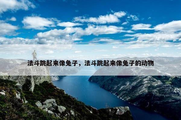 法斗跳起来像兔子，法斗跳起来像兔子的动物