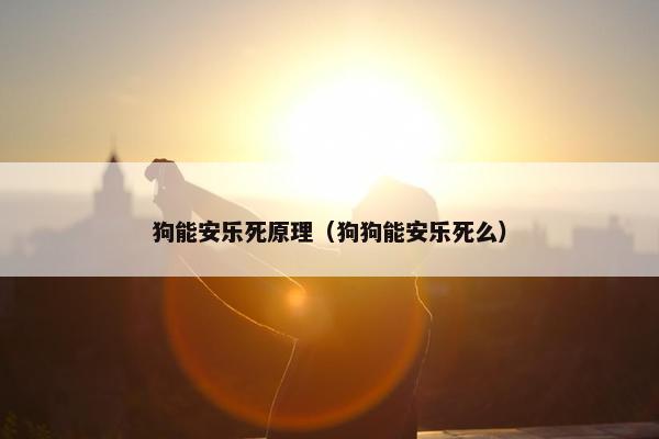 狗能安乐死原理（狗狗能安乐死么）