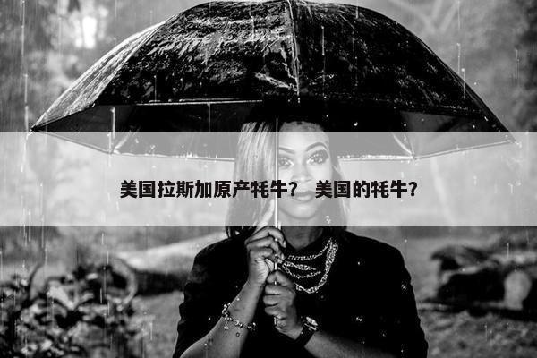 美国拉斯加原产牦牛？ 美国的牦牛？