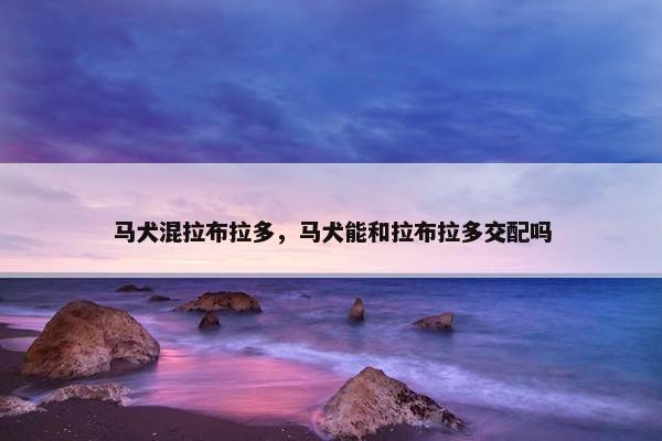 马犬混拉布拉多，马犬能和拉布拉多交配吗