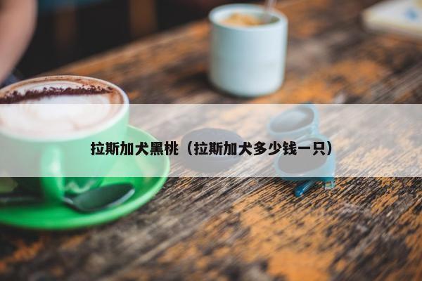 拉斯加犬黑桃（拉斯加犬多少钱一只）