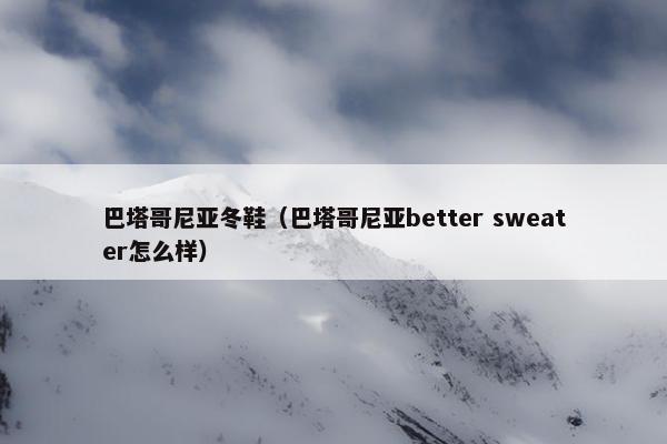 巴塔哥尼亚冬鞋（巴塔哥尼亚better sweater怎么样）