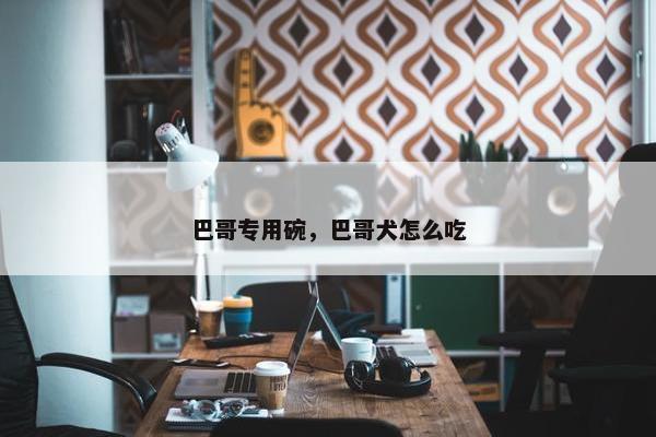 巴哥专用碗，巴哥犬怎么吃