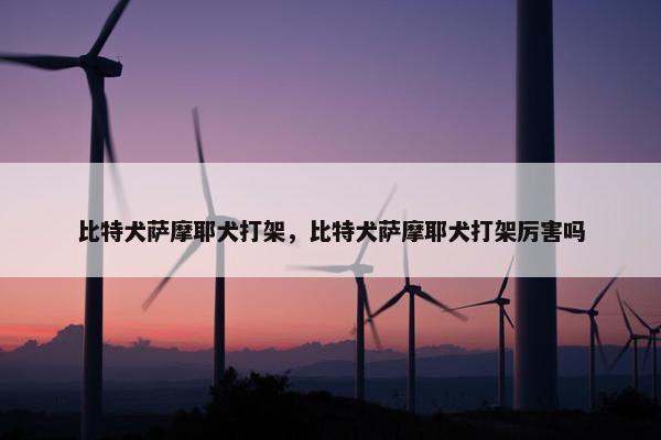 比特犬萨摩耶犬打架，比特犬萨摩耶犬打架厉害吗