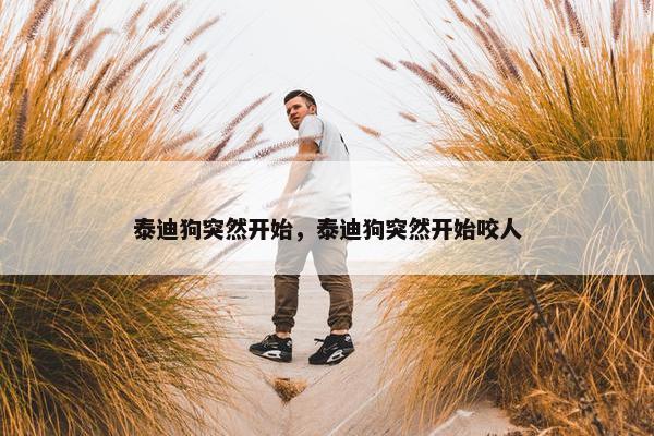 泰迪狗突然开始，泰迪狗突然开始咬人