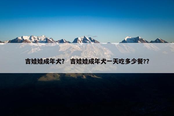 吉娃娃成年犬？ 吉娃娃成年犬一天吃多少餐?？
