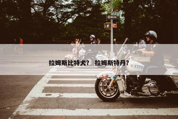 拉姆斯比特犬？ 拉姆斯特丹？