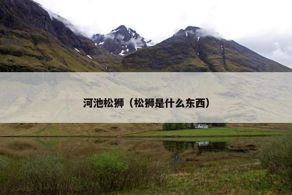 河池松狮（松狮是什么东西）