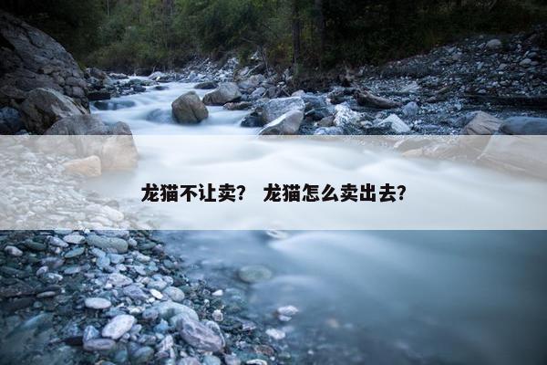 龙猫不让卖？ 龙猫怎么卖出去？