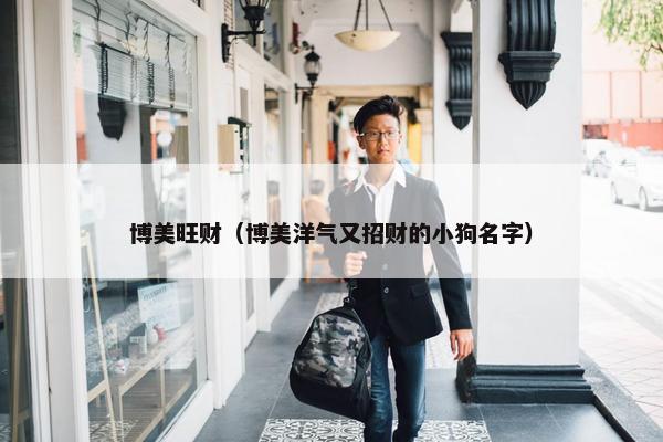 博美旺财（博美洋气又招财的小狗名字）