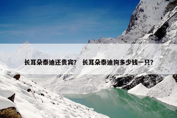 长耳朵泰迪还贵宾？ 长耳朵泰迪狗多少钱一只？