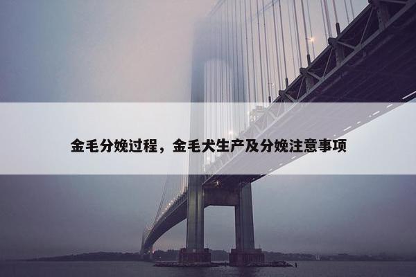 金毛分娩过程，金毛犬生产及分娩注意事项