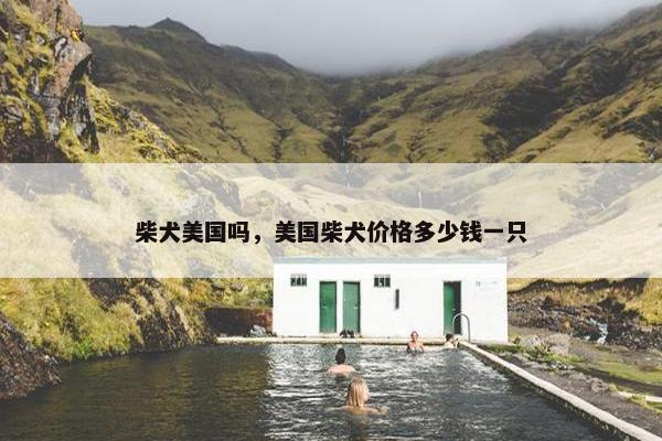 柴犬美国吗，美国柴犬价格多少钱一只