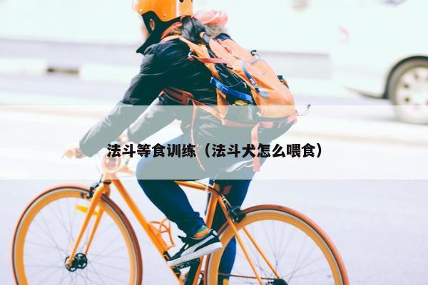 法斗等食训练（法斗犬怎么喂食）