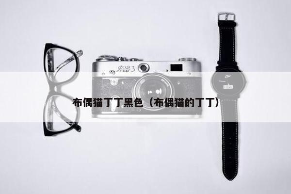 布偶猫丁丁黑色（布偶猫的丁丁）