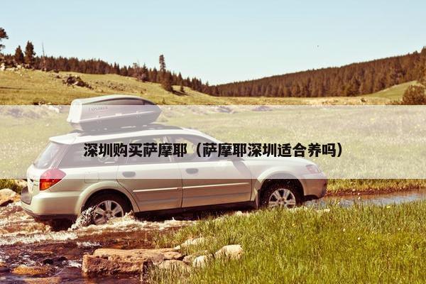 深圳购买萨摩耶（萨摩耶深圳适合养吗）
