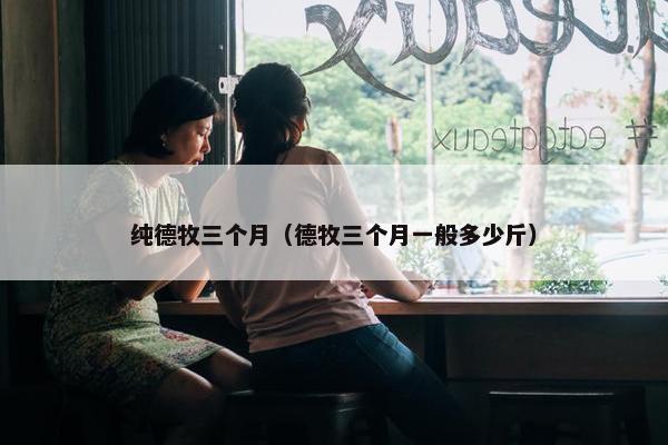 纯德牧三个月（德牧三个月一般多少斤）