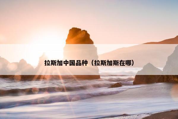 拉斯加中国品种（拉斯加斯在哪）