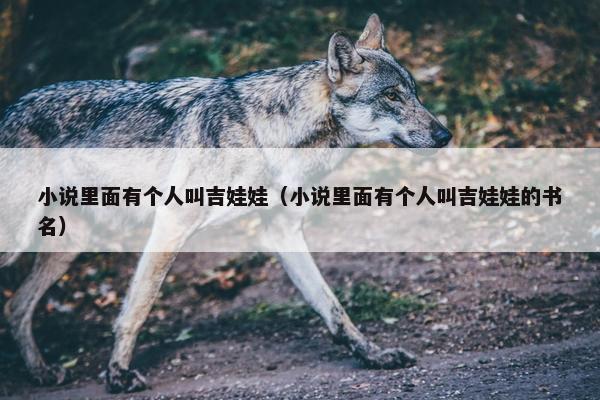 小说里面有个人叫吉娃娃（小说里面有个人叫吉娃娃的书名）