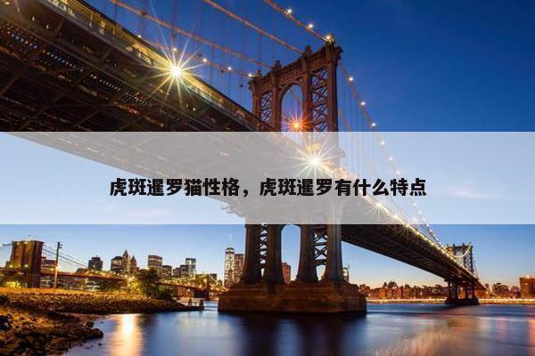 虎斑暹罗猫性格，虎斑暹罗有什么特点